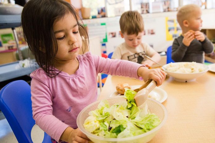 Прокуратурата откри десетки нарушения в качеството на храните в училищата и детските градини