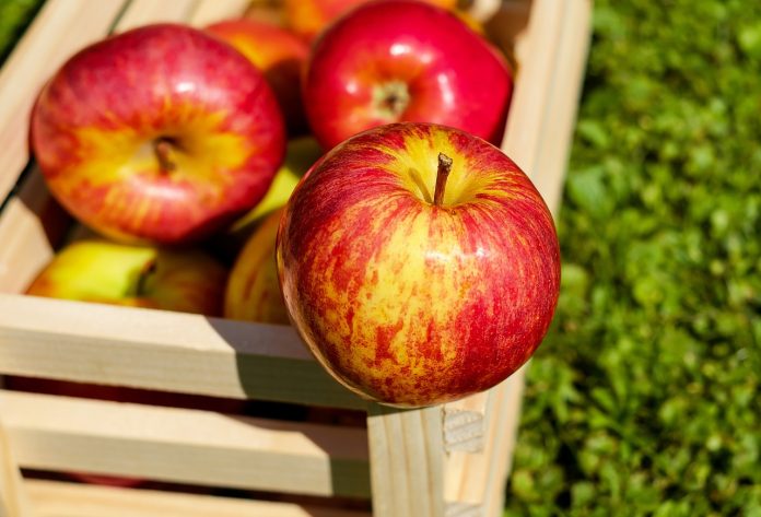 Българските ябълки са по-екологични от вносните