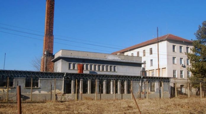 Затворник избяга от общежитие в Бойчиновци