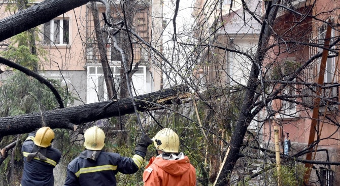 Паднали клони и огради след силния вятър в София