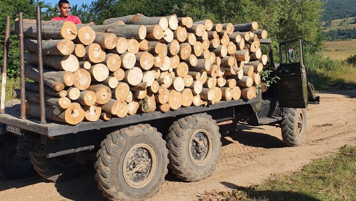 Полицията се натъкна на незаконна дървесина в Глоджево
