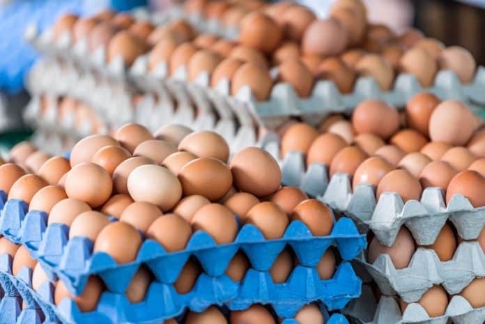 30% скок на цената на яйцата у нас