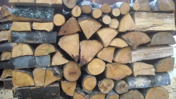 Откриха незаконна дървесина на два адреса в Сеново