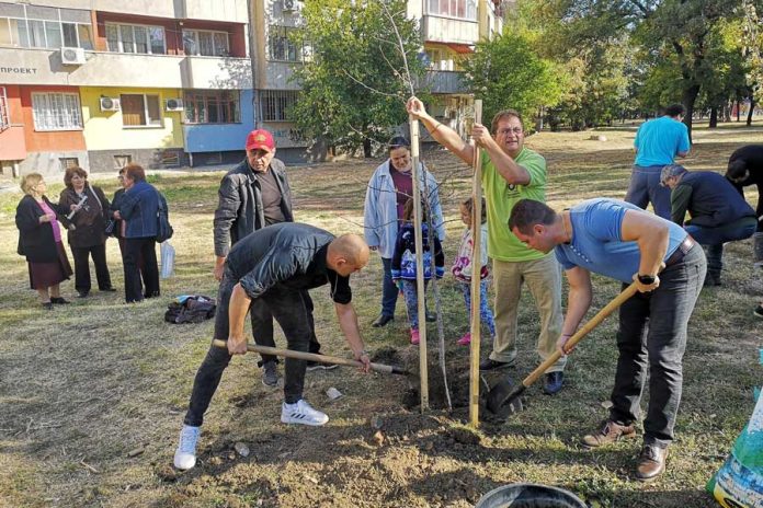 Общината кани русенци да засадят дръвчета