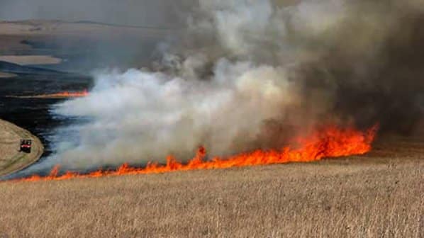 400 декара пасища изгоряха при пожара в Русенско, разследват умишлен палеж