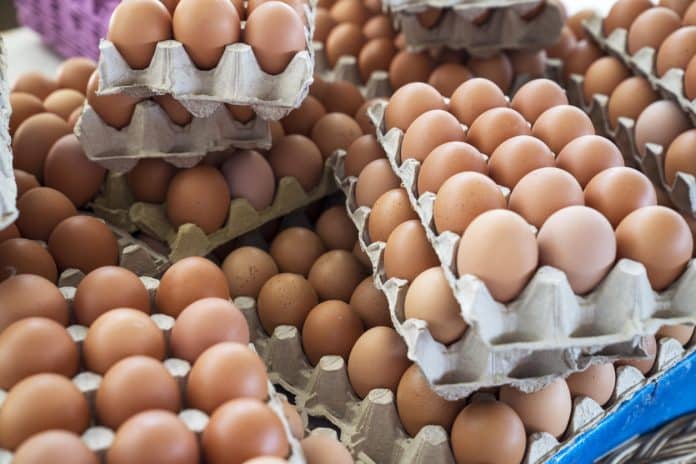 2,5 милиона яйца от Украйна може да се появят на пазара като български
