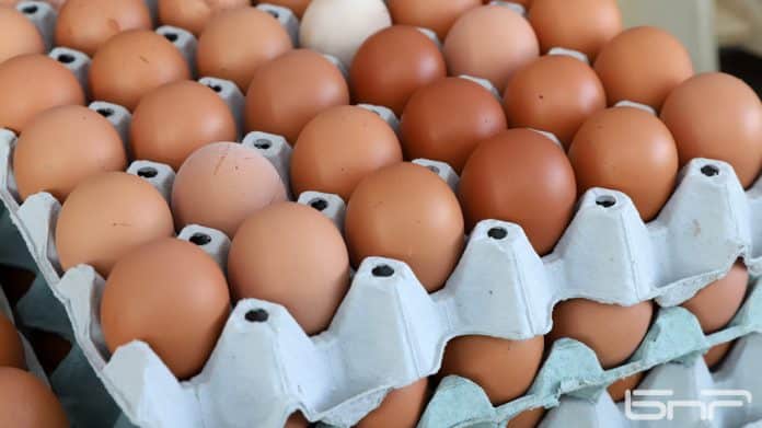 Каква ще бъде цената на яйцата за Великден?